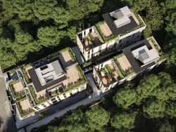Palm Road (D15), Terrace #556154591